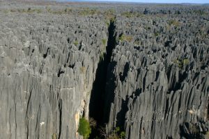 мадагаскарский каменный лес