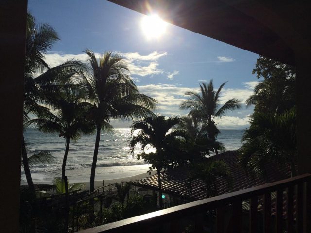 Вид с балкона отеля на пальмы и океан