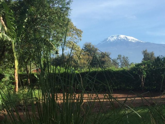 More-Than-A-Drop вид из гостиницы на гору Килиманджаро