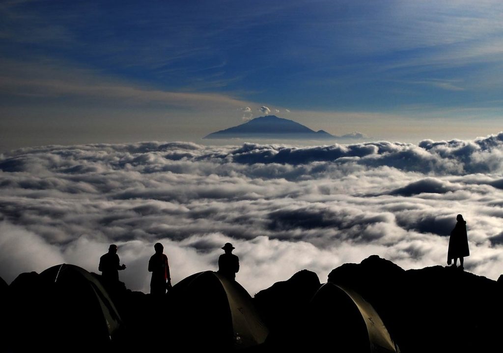 Вид с тропы Шира Килиманджаро